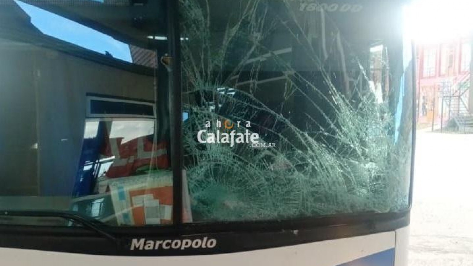 El Calafate: un colectivo chocó con un caballo suelto